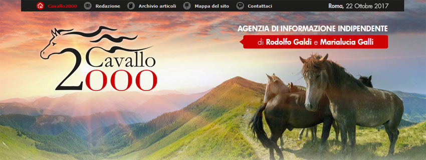Cavallo 2000 festeggia il 10° Compleanno superando il Milione di visitatori unici Cavallo 2000 festeggia il 10° Compleanno superando il Milione di visitatori unici
